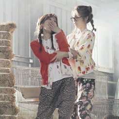 GIF9