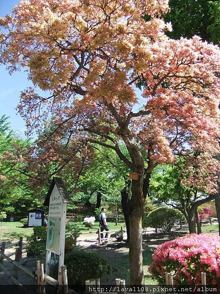 DSCF1364.JPG