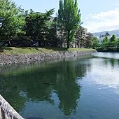 DSCF1334.JPG