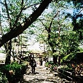 4211-06.JPG