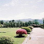 4211-03.JPG