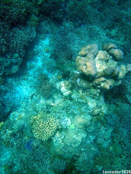 IMGP4846.JPG