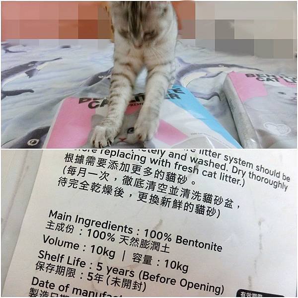 MeowMe米路貓砂 (6).JPG