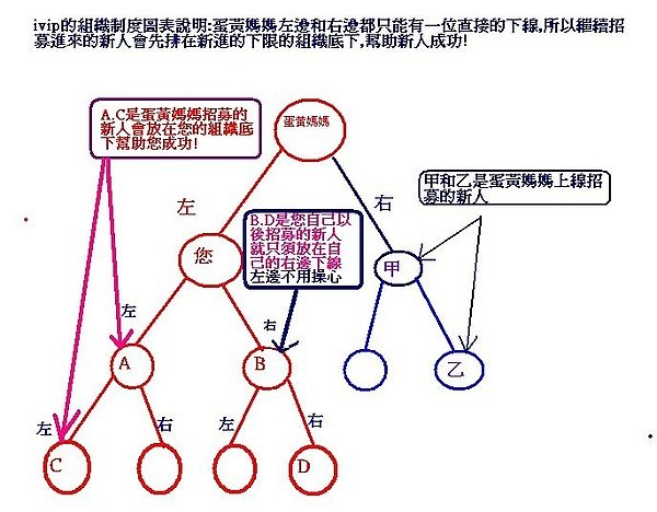 ivip組織圖說明.JPG