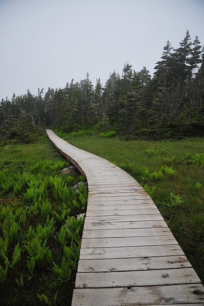 DSC_1135.JPG