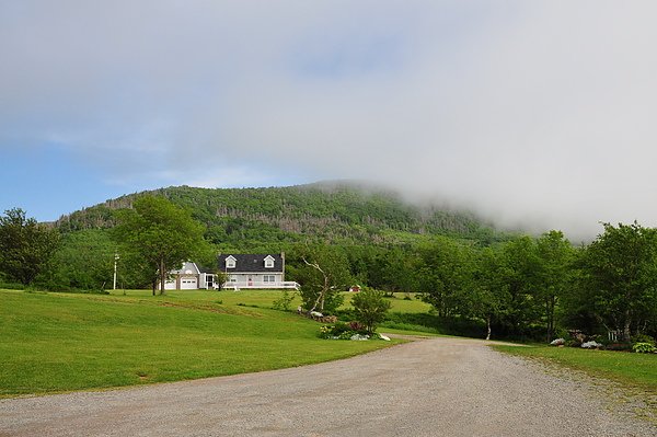 DSC_0349.JPG