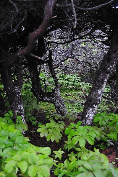 DSC_1156.JPG