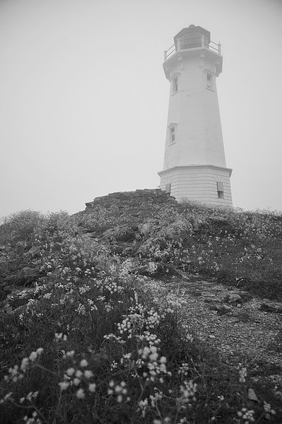 DSC_1061.JPG