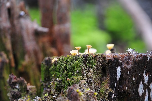 DSC_1169.JPG