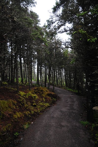DSC_1103.JPG