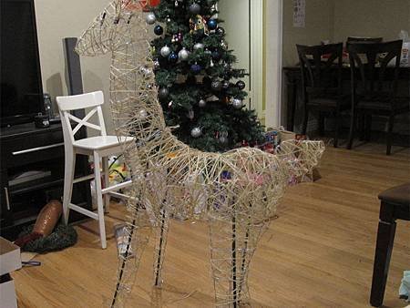 Deer09.jpg