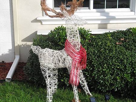 Deer14.jpg