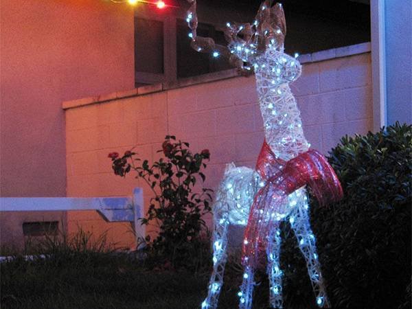 Deer15