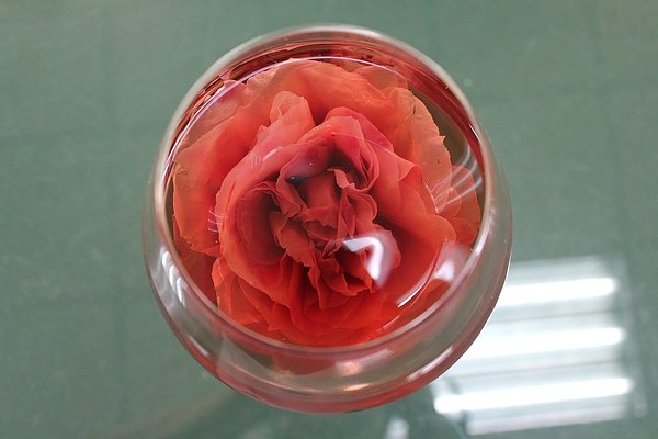 IMG_7522.jpg