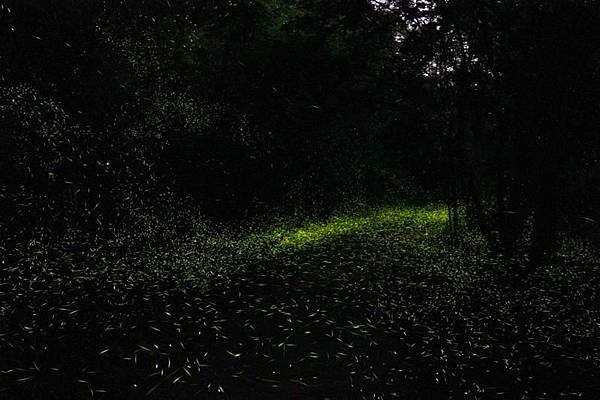 205.jpg