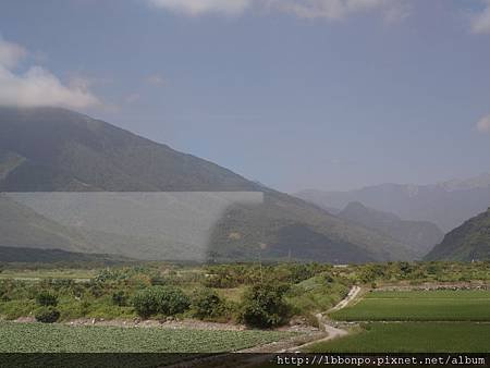 臺東關山池上