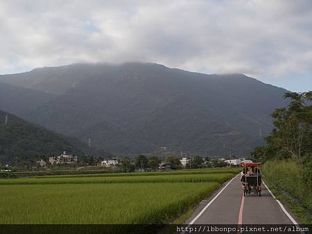 臺東關山池上