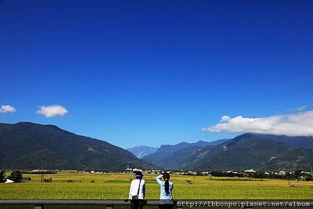 臺東關山池上