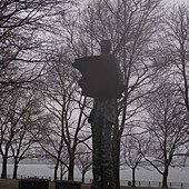 R0010542.jpg