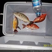 104_1205.JPG
