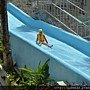 DSC_1853.JPG