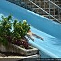 DSC_1861.JPG