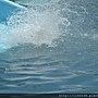 DSC_1865.JPG