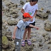 DSC_2652.JPG