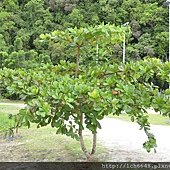 DSC_2693.JPG