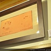 DSC_2502.JPG