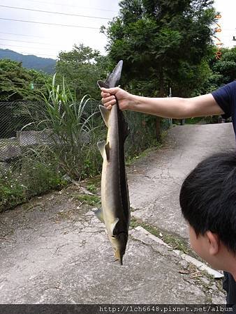 R1045399.JPG