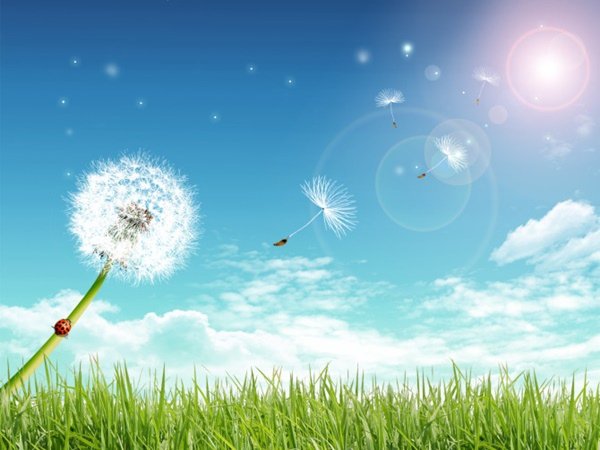 a67918d475d05fd2de456fab896552ac20120531054053.jpg