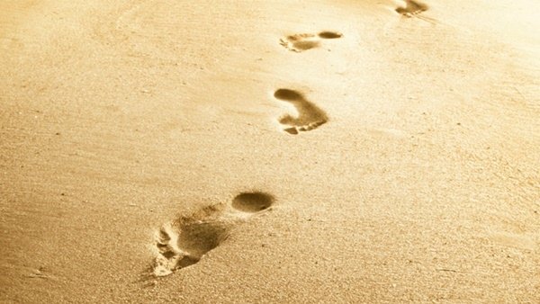 footprints1.jpg