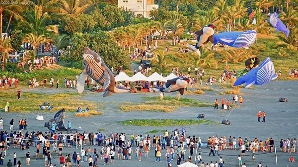 下載 (5).jpg