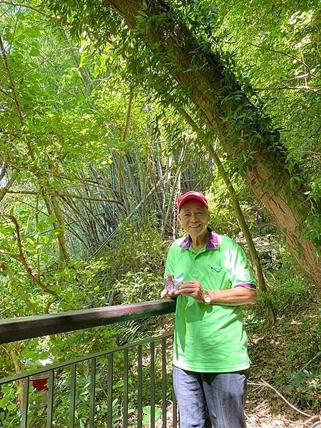 老頑童幸福專車茂林蝴蝶生態公園、神威天台山、旗山糖廠、武德殿