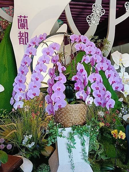 高雄市第一志願服務協會故宮南院、山上花園水道博物館之旅