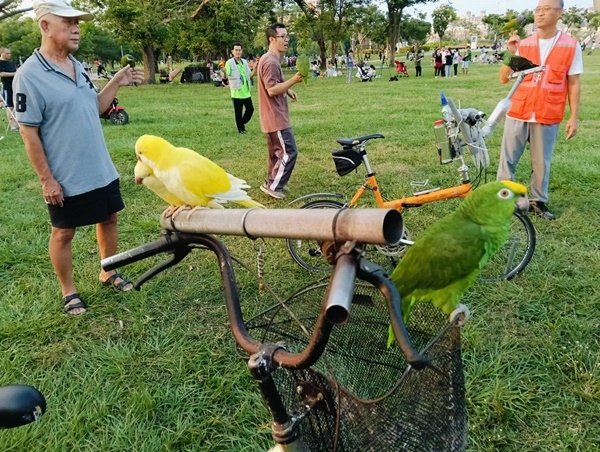 墨西哥國際友誼團暢遊衛武營都會公園暨歡送會