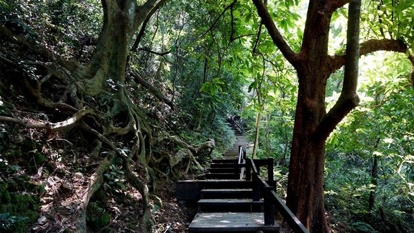 彰化縣國學研究會蒞臨美濃與高雄市詩詩畫學會交流聯誼