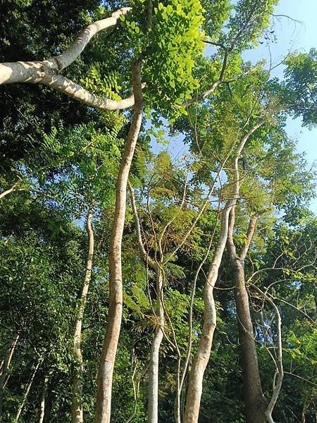 彰化縣國學研究會蒞臨美濃與高雄市詩詩畫學會交流聯誼