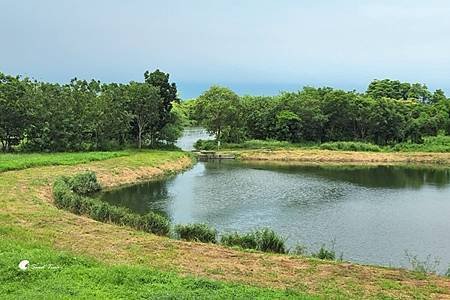 紐西蘭國際友誼團遊高屏舊鐵橋溼地公園、衛武營、佛陀營紀念館巡
