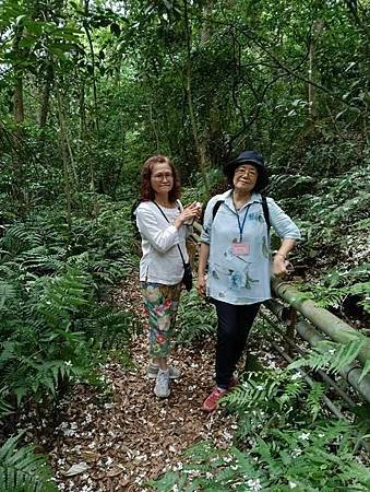 鳳山長青學苑書法水墨直笛班慈濟茶園、西湖渡假村一日遊