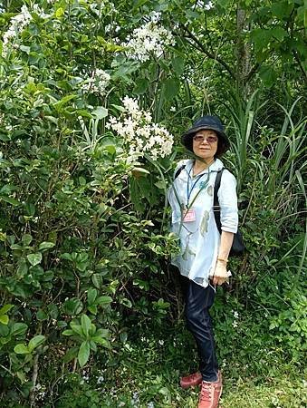 鳳山長青學苑書法水墨直笛班慈濟茶園、西湖渡假村一日遊