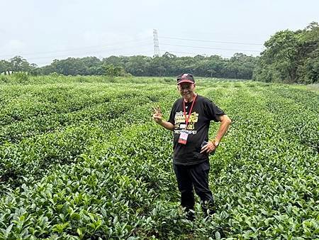 鳳山長青學苑書法水墨直笛班慈濟茶園、西湖渡假村一日遊