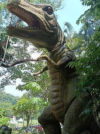 鳳山長青學苑書法水墨直笛班慈濟茶園、西湖渡假村一日遊