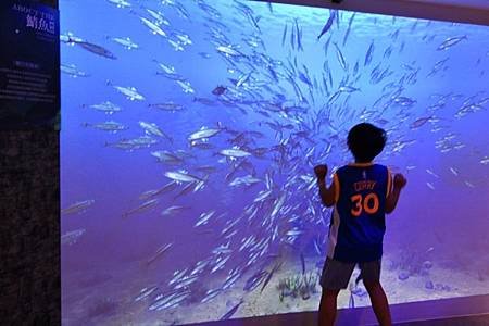 鳳山長青學苑書法水墨直笛班慈濟茶園、西湖渡假村一日遊