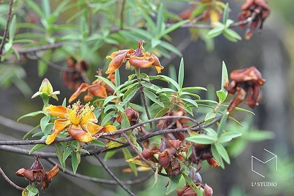 20160211_非洲行_0120 copy.jpg