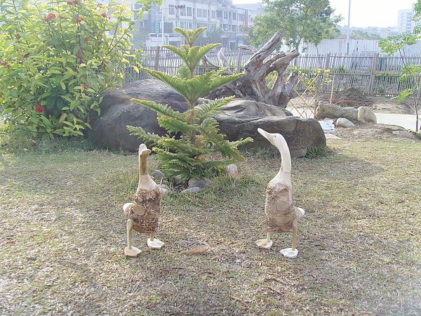 鴨鴨看磊川