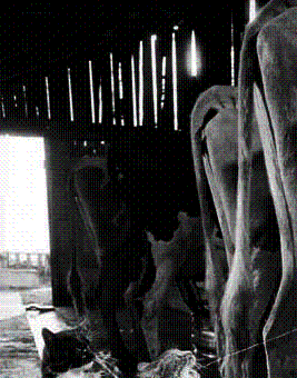 image036.gif