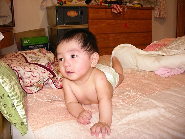 IMGP1553.JPG