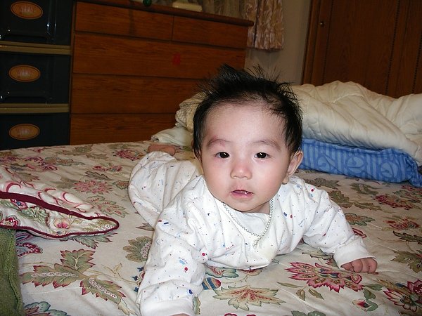 IMGP1527.JPG